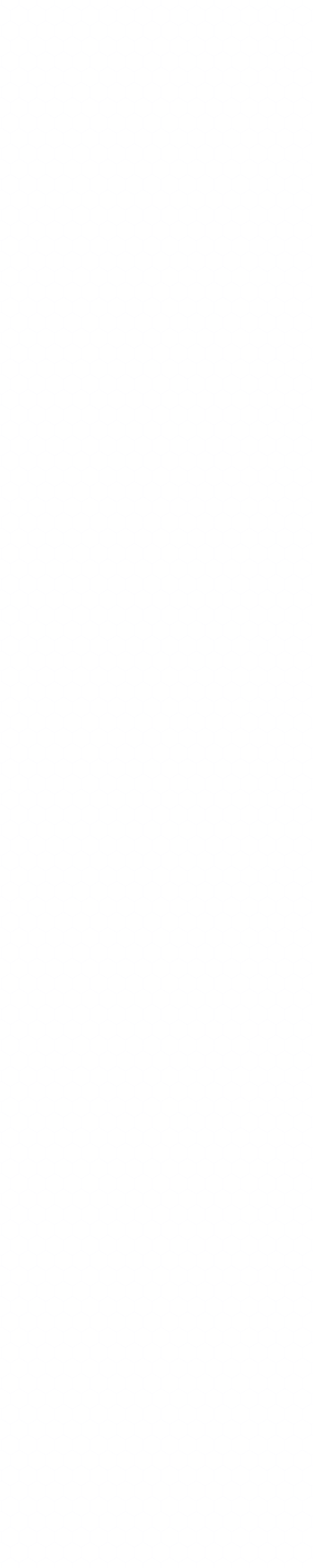 Fondo